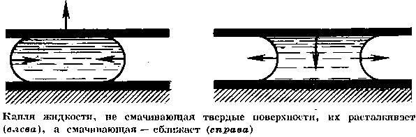 Капля _72.jpg
