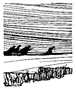 Где наша не пропадала i_055.jpg