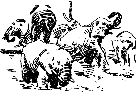 Том 8. Рассказы i_047.png