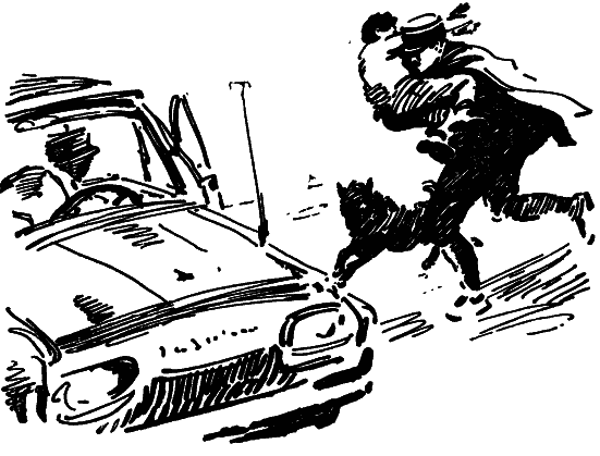 Том 8. Рассказы i_055.png