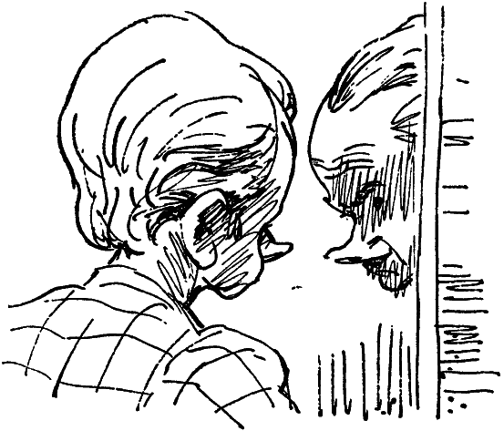 Том 7. Человек, нашедший свое лицо i_007.png