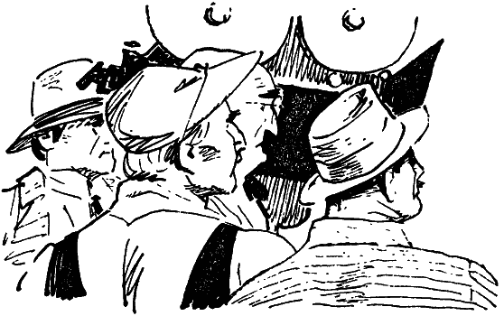 Том 7. Человек, нашедший свое лицо i_019.png