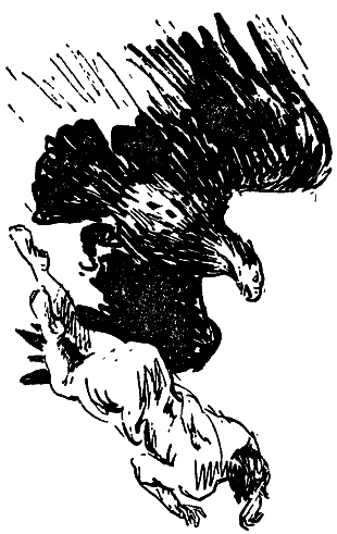Том 7. Человек, нашедший свое лицо i_038.png