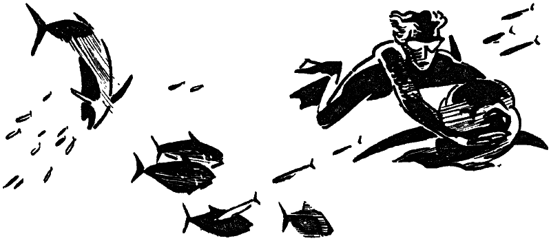 Том 3. Человек-амфибия i_011.png