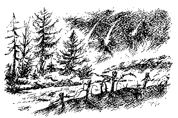Пошлите меня в разведку (сборник) nonjpegpng_IMAG0196.png