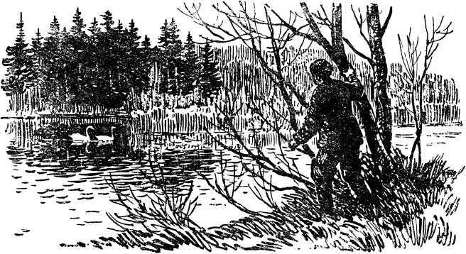 Таежные рассказы i_021.jpg