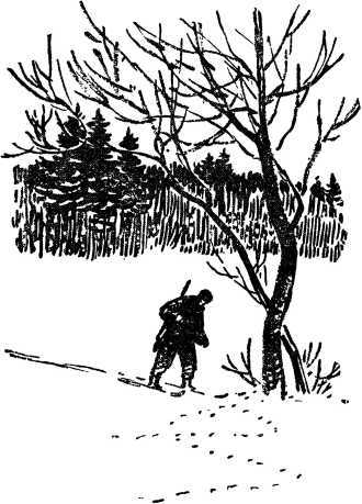 Таежные рассказы i_025.jpg