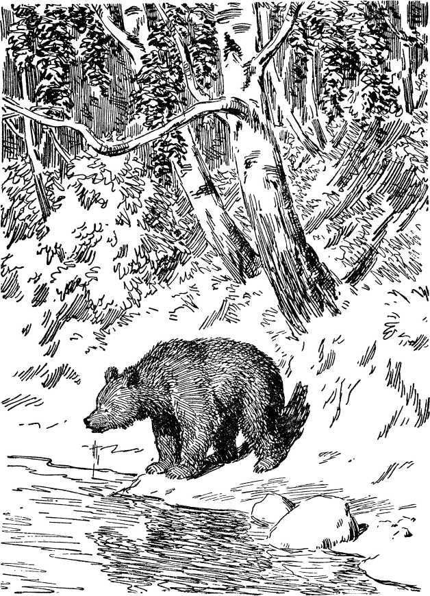 Таежные рассказы i_029.jpg