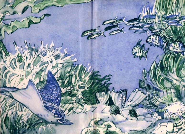 Человек-амфибия (илл. П. Луганского) pic_1.jpg