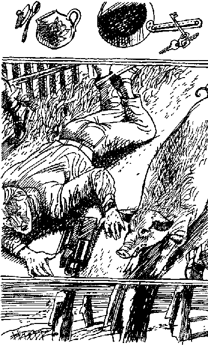 Марсианское путешествие (сборник) pic_9.png