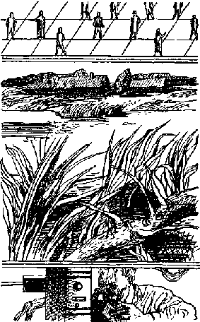 Марсианское путешествие (сборник) pic_11.png
