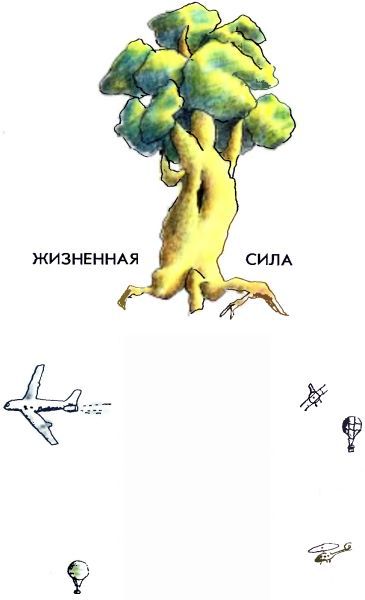 Летний дождик в декабре i_028.jpg