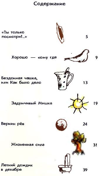 Летний дождик в декабре i_041.jpg
