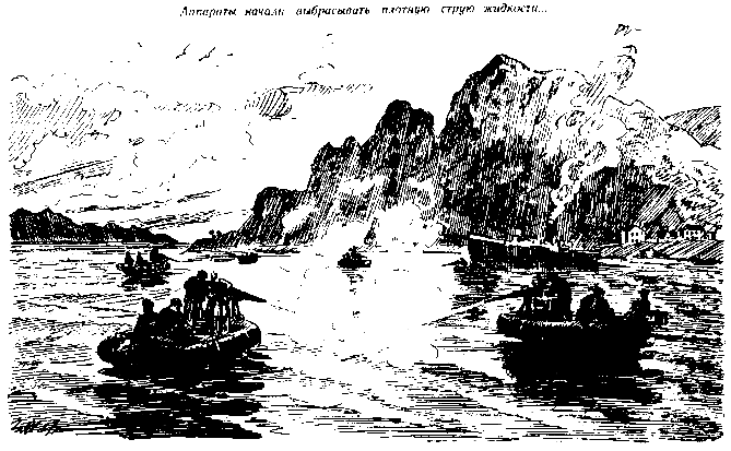 Иней на пальмах (журн. вариант) pic_14.png