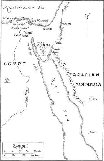 The Crusades. The Authoritative History of the War for the Holy Land _8.jpg