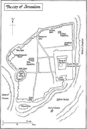 The Crusades. The Authoritative History of the War for the Holy Land _11.jpg