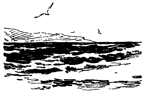 С киноаппаратом в бою i_003.png