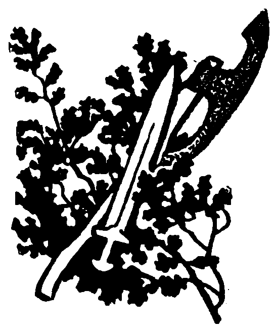 Злой город ch-8_tail.png