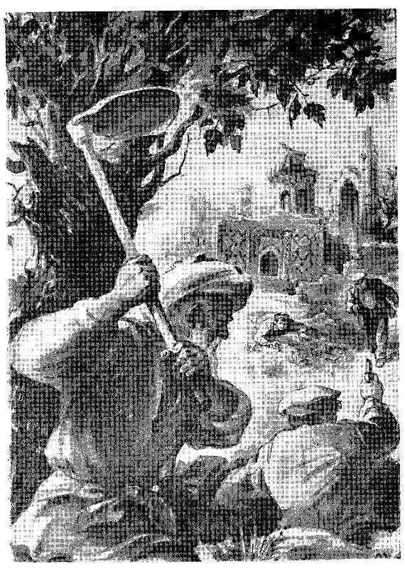 Таких щадить нельзя (илл. С. Марфин) pic_26.jpg