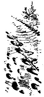 Таких щадить нельзя (илл. С. Марфин) pic_5.png