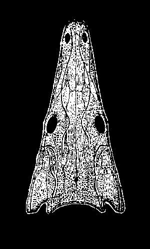 Тайны пылающих холмов i_025.png
