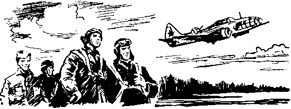 Под крыльями — ночь i_008.png