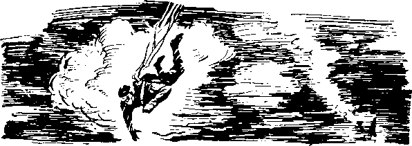 Под крыльями — ночь i_009.png