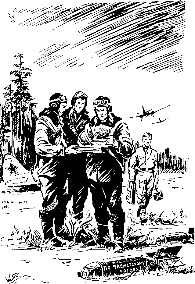 Под крыльями — ночь i_011.png