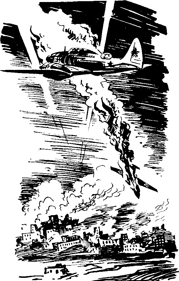 Под крыльями — ночь i_013.png