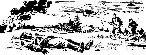 Под крыльями — ночь i_004.png