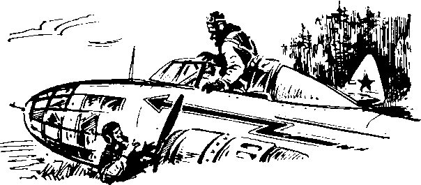 Под крыльями — ночь i_019.png