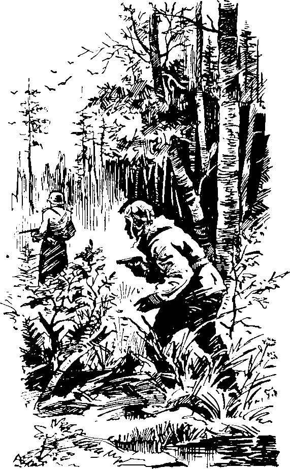 Под крыльями — ночь i_022.png