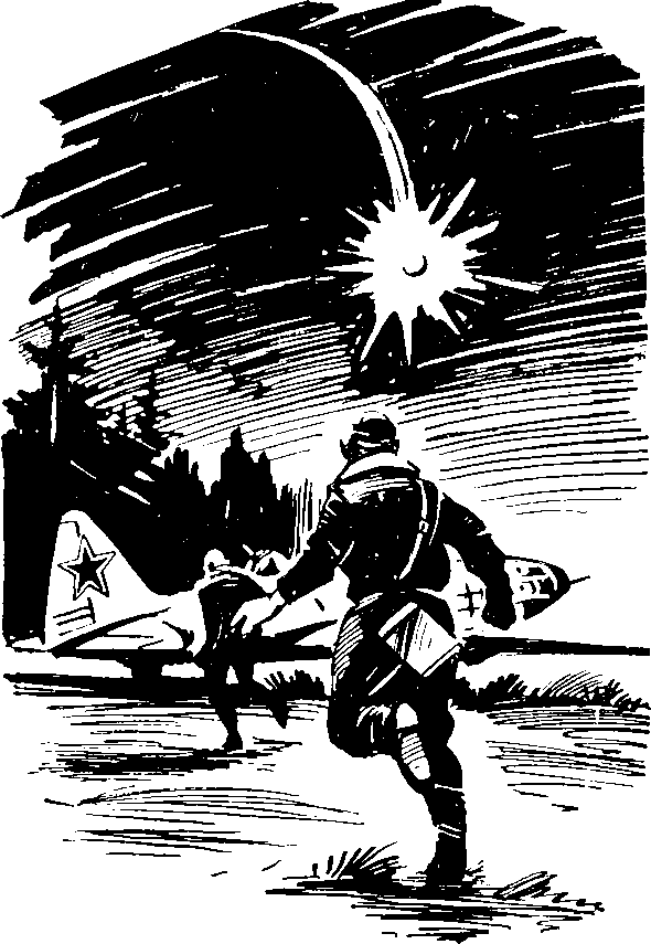 Под крыльями — ночь i_027.png