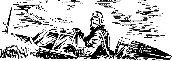 Под крыльями — ночь i_029.png