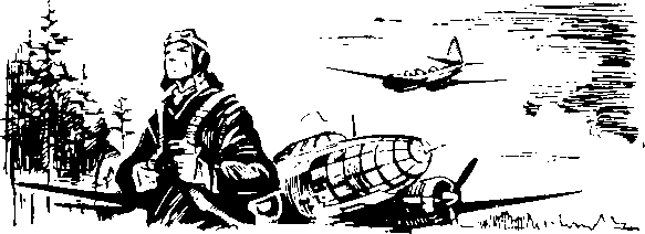 Под крыльями — ночь i_005.png