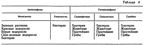 Путешествие в страну микробов n_08.png