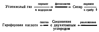 Путешествие в страну микробов n_15.png