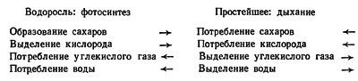 Путешествие в страну микробов n_18.png