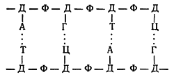 Путешествие в страну микробов n_24.png