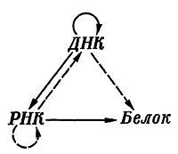 Путешествие в страну микробов n_27.png