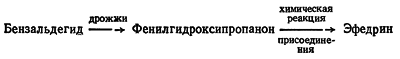 Путешествие в страну микробов n_57.png