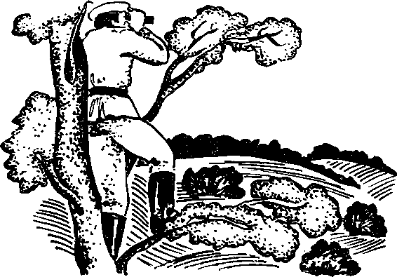 Сияние Каракума (сборник) i_006.png