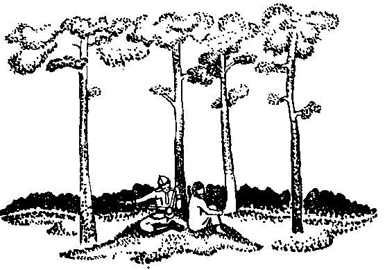 Сияние Каракума (сборник) i_008.png