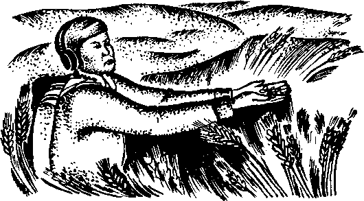 Сияние Каракума (сборник) i_016.png