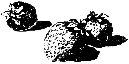 Открытие i_005.png