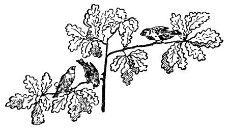 Открытие i_008.png