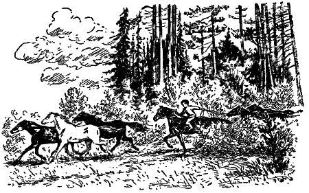 Открытие i_009.png