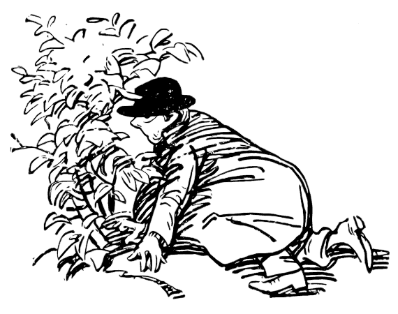 Ботус Окцитанус, или Восьмиглазый скорпион i_021.png