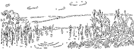 Пруд i_018.png