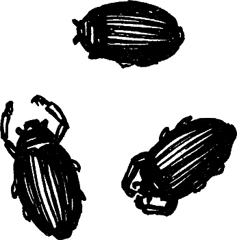Пруд i_022.png